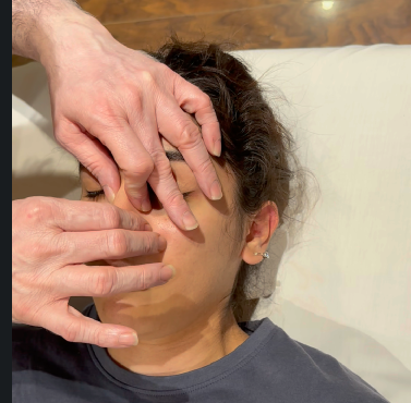 Dr Sudarshan demonstrating CFR and Nose manipulation